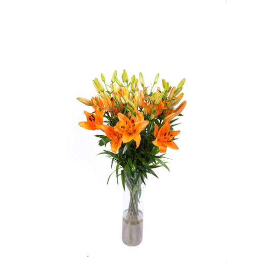 Orange liljer-Bundter-e-BLOMST.dk