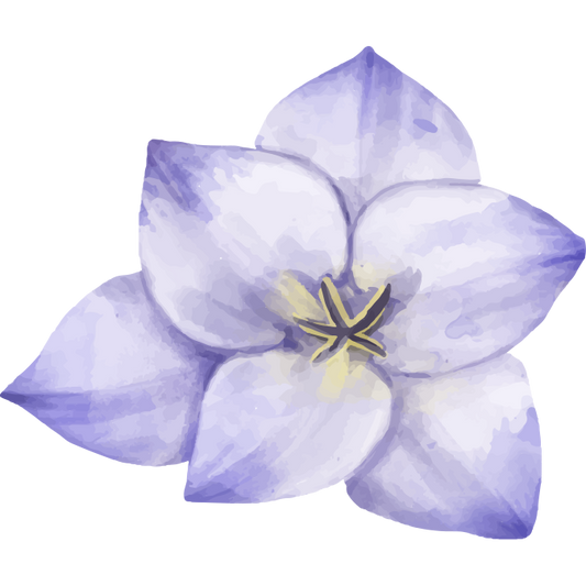 Blomster symbolik – Hvad blomster symboliserer